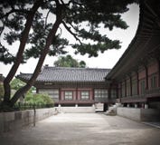 Jarda, pinhos e casa antiga do palácio coreano Fotos de Stock Jarda, pinhos e casa antiga do palácio coreano Fotos de Stock