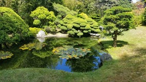 Jardim de chá japonês imagem de stock Jardim de chá japonês imagem de stock