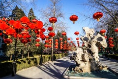 Jardin botanique traditionnel historique de Pékin, Chine en hiver, pendant la nouvelle année chinoise Images stock Jardin botanique traditionnel historique de Pékin, Chine en hiver, pendant la nouvelle année chinoise Images stock