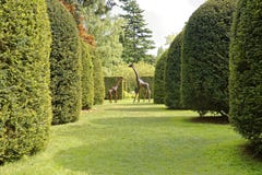 Jardin et arbres photo libre de droits Jardin et arbres photo libre de droits