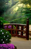Jardin japonais Jardin japonais