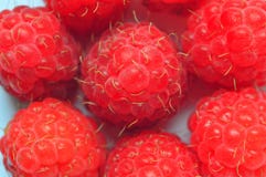 Jardin mûr de framboises Fond Fin vers le haut Macro mode Images libres de droits Jardin mûr de framboises Fond Fin vers le haut Macro mode Images libres de droits