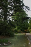 Jardines botánicos Christchurch imagen de archivo Jardines botánicos Christchurch imagen de archivo
