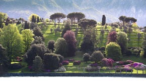 Jardins Terraced no foreshore do lago Como Fotos de Stock Royalty Free Jardins Terraced no foreshore do lago Como Fotos de Stock Royalty Free