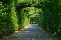 Jardín de Schonbrunn en Viena Foto de archivo libre de regalías Jardín de Schonbrunn en Viena Foto de archivo libre de regalías
