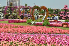Jardín del milagro de Dubai en los UAE Jardín del milagro de Dubai en los UAE
