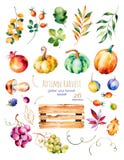 Jaskrawa kolekcja z spadków liśćmi, gałąź, drewniany kosz royalty ilustracja Jaskrawa kolekcja z spadków liśćmi, gałąź, drewniany kosz royalty ilustracja