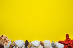 Jaskrawy żółty tło w żołnierza piechoty morskiej stylu z seashells, rozgwiazdą i innymi morskimi atrybutami, Obraz Stock Jaskrawy żółty tło w żołnierza piechoty morskiej stylu z seashells, rozgwiazdą i innymi morskimi atrybutami, Obraz Stock