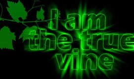 Je Suis La Vigne Vraie Affiche Chretienne De Citation De Motivation Illustration Stock Illustration Du Calligraphie Religieux Je Suis La Vigne Vraie Affiche Chretienne De Citation De Motivation Illustration Stock Illustration Du Calligraphie Religieux