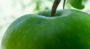 Jeden Apple dzień Utrzymuje lekarkę Oddalona obrazy stock Jeden Apple dzień Utrzymuje lekarkę Oddalona obrazy stock