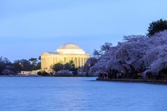 Jefferson Memorial al crepuscolo, Washington DC Fotografia Stock Libera da Diritti Jefferson Memorial al crepuscolo, Washington DC Fotografia Stock Libera da Diritti