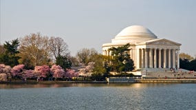 Jefferson Memorial And Cherry Blossoms Stock Photo Jefferson Memorial And Cherry Blossoms Stock Photo