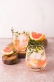 Jenever bittere citroen met thyme en grapefruit Fruitlimonade stock afbeelding Jenever bittere citroen met thyme en grapefruit Fruitlimonade stock afbeelding