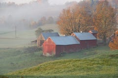Jenne Bauernhof im Sonnenaufgang Lizenzfreie Stockfotos Jenne Bauernhof im Sonnenaufgang Lizenzfreie Stockfotos