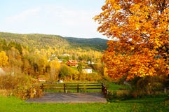 Jesień las nad obszarem trawiastym w Telemark, Norwegia Obrazy Stock Jesień las nad obszarem trawiastym w Telemark, Norwegia Obrazy Stock