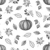 Jesieni ręki rysunek ilustracja wektor Jesieni ręki rysunek ilustracja wektor