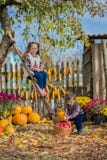 Jesieni zgromadzenia jabłka na gospodarstwie rolnym Dzieci zbierają owoc w koszu zabawa żartuje plenerowego fotografia stock Jesieni zgromadzenia jabłka na gospodarstwie rolnym Dzieci zbierają owoc w koszu zabawa żartuje plenerowego fotografia stock
