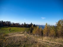 jesień kolorowa lasu krajobrazu góra fotografia stock jesień kolorowa lasu krajobrazu góra fotografia stock