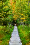 Jesupsleep met de herfstkleuren in het Nationale Park van Acadia royalty-vrije stock afbeeldingen Jesupsleep met de herfstkleuren in het Nationale Park van Acadia royalty-vrije stock afbeeldingen