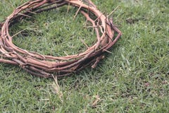 Jesus Christ Crown Thorns sur la pelouse d'herbe de jardin avec la station thermale de copie photographie stock libre de droits Jesus Christ Crown Thorns sur la pelouse d'herbe de jardin avec la station thermale de copie photographie stock libre de droits