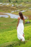 Jeune femme de brune tournant son dos posant dans la perspective des gisements de riz image stock Jeune femme de brune tournant son dos posant dans la perspective des gisements de riz image stock