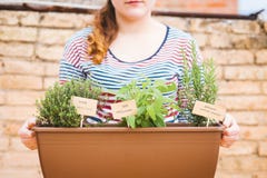 Jeune femme tenant le pot d'herbes aromatiques image stock Jeune femme tenant le pot d'herbes aromatiques image stock