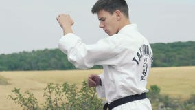Jeune maître de sport exerçant l'art du Taekwondo sur la nature lentement banque de vidéos Jeune maître de sport exerçant l'art du Taekwondo sur la nature lentement banque de vidéos