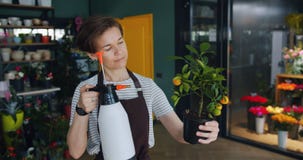 Jeune usine d'arrosage gaie de fleuriste dans le magasin de fleur utilisant le pulvérisateur appréciant le travail banque de vidéos Jeune usine d'arrosage gaie de fleuriste dans le magasin de fleur utilisant le pulvérisateur appréciant le travail banque de vidéos