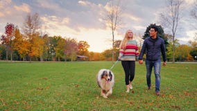 Jeunes couples insouciants marchant avec un chien en parc tir de steadicam banque de vidéos Jeunes couples insouciants marchant avec un chien en parc tir de steadicam banque de vidéos