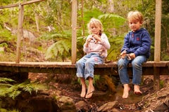 Jeunes enfants de mêmes parents jouant sur un pont dans une forêt Image stock Jeunes enfants de mêmes parents jouant sur un pont dans une forêt Image stock