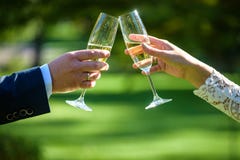 Jeunes mariés tenant des verres de champagne de mariage images libres de droits Jeunes mariés tenant des verres de champagne de mariage images libres de droits