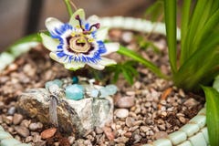 Jewelery made of natural stones against the backdrop of blossoming pasiflora. Bracelets, rings, necklaces, handmade earrings close royalty free stock photography Jewelery made of natural stones against the backdrop of blossoming pasiflora. Bracelets, rings, necklaces, handmade earrings close royalty free stock photography