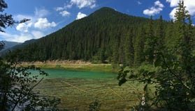 Jezioro w Kanadyjskich Skalistych g?rach - Kootenay park narodowy zdjęcia royalty free Jezioro w Kanadyjskich Skalistych g?rach - Kootenay park narodowy zdjęcia royalty free