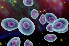 Jirovecii Pneumocystis, оппортунистический грибок бесплатная иллюстрация Jirovecii Pneumocystis, оппортунистический грибок бесплатная иллюстрация