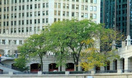 Jn invallningen i Chicago, IL royaltyfri bild Jn invallningen i Chicago, IL royaltyfri bild