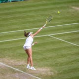 Johanna Konta at Wimbledon royalty free stock photo Johanna Konta at Wimbledon royalty free stock photo