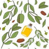 Jojoba del modello royalty illustrazione gratis Jojoba del modello royalty illustrazione gratis