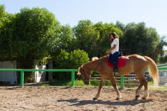 Jong brunette op een bruin-blond paard in stock afbeelding Jong brunette op een bruin-blond paard in stock afbeelding