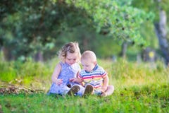 Jonge geitjes die met denneappels spelen stock afbeeldingen Jonge geitjes die met denneappels spelen stock afbeeldingen