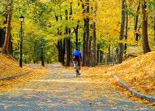 Jonge mens in blauwe t-shirt op sportenfiets tegen de achtergrond van het park van de de herfststad, concept gezonde levensstijl, royalty-vrije stock foto's Jonge mens in blauwe t-shirt op sportenfiets tegen de achtergrond van het park van de de herfststad, concept gezonde levensstijl, royalty-vrije stock foto's