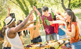 Jonge multiraciale vrienden die bier roosteren bij de partij van de barbecuetuin stock fotografie Jonge multiraciale vrienden die bier roosteren bij de partij van de barbecuetuin stock fotografie