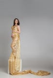 Jonge zwangere vrouw met transparante doek royalty-vrije stock fotografie Jonge zwangere vrouw met transparante doek royalty-vrije stock fotografie