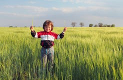 Jongen op gebied, Kind royalty-vrije stock afbeeldingen Jongen op gebied, Kind royalty-vrije stock afbeeldingen