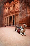 Jordan: Treasury in Petra. Treasury, one of the tombs in the ancient city of Petra in Jordan. Camels are waiting for the customers to take a ride Jordan: Treasury in Petra. Treasury, one of the tombs in the ancient city of Petra in Jordan. Camels are waiting for the customers to take a ride