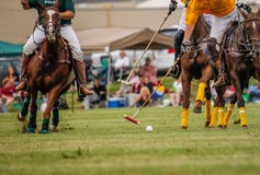 Joueurs dans un match de polo photos stock Joueurs dans un match de polo photos stock