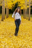 Jour d'automne d'Enjoying A de mod?le de brune dans le feuillage d'automne photographie stock Jour d'automne d'Enjoying A de mod?le de brune dans le feuillage d'automne photographie stock