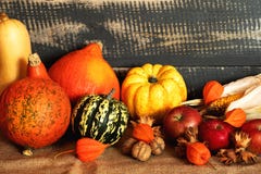 Jour de thanksgiving de récolte d'automne photographie stock Jour de thanksgiving de récolte d'automne photographie stock