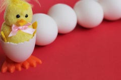 Joyeuses P?ques Le poulet jaune de jouet que le b?b? a hach? d'un oeuf est situ? pr?s d'une rang?e des oeufs blancs de poulet sur photos stock Joyeuses P?ques Le poulet jaune de jouet que le b?b? a hach? d'un oeuf est situ? pr?s d'une rang?e des oeufs blancs de poulet sur photos stock