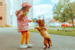 Little Girl Playing with a Dog in the Park Having Fun