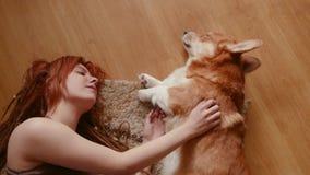 Juego femenino con el perro Juego femenino con el perro